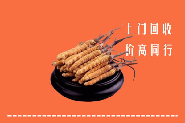 高价求购：扎鲁特回收散虫草