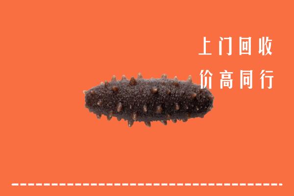 高价求购：扎鲁特回收海参