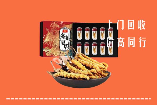 扎鲁特回收虫草